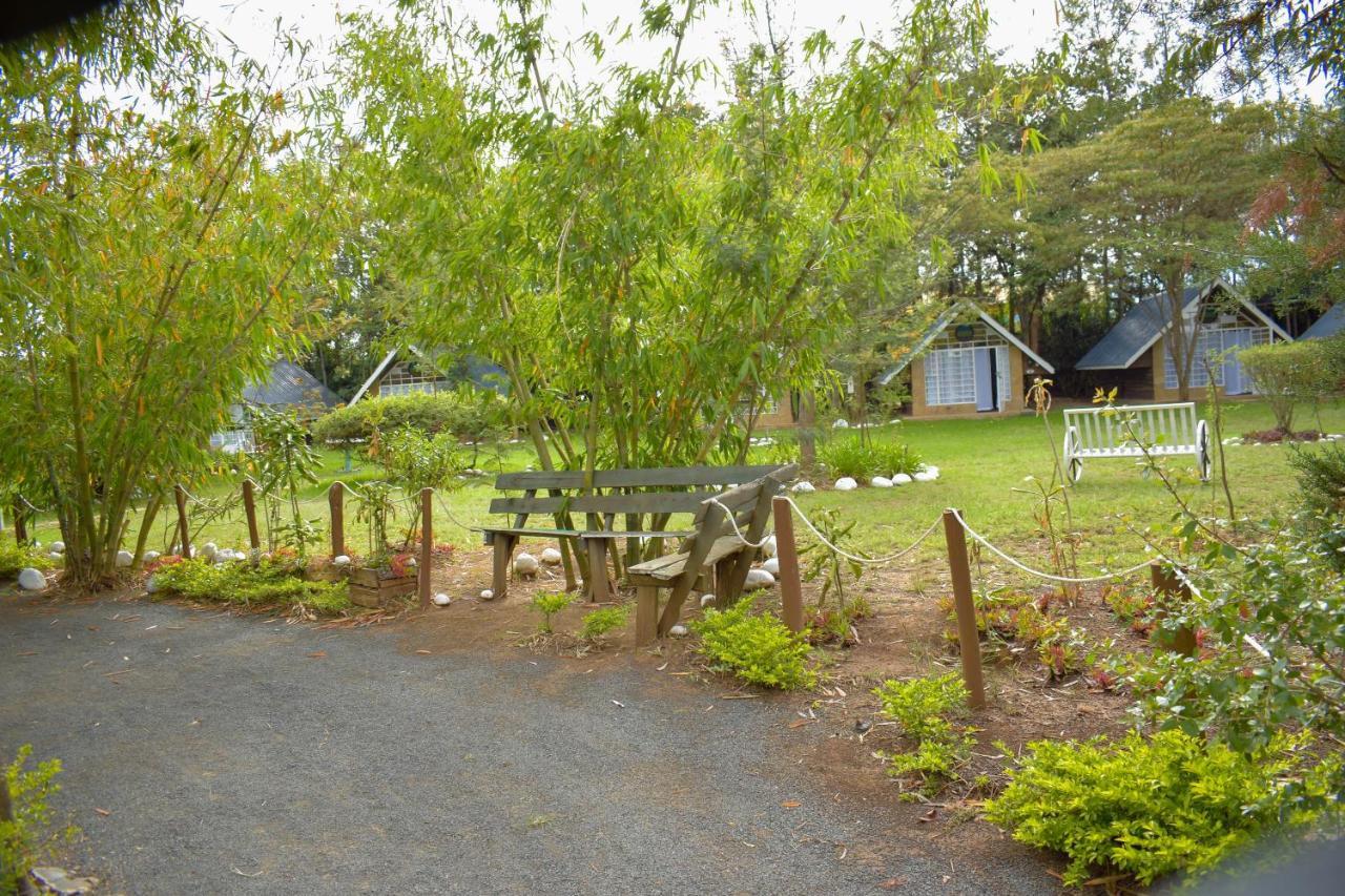 Camp Mahon Gardens Hotel Nanyuki Exterior photo